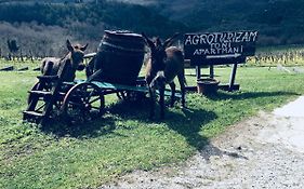 Agroturizam Toni